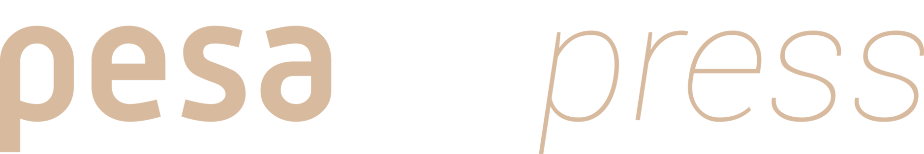 PesaExpress™ Logo